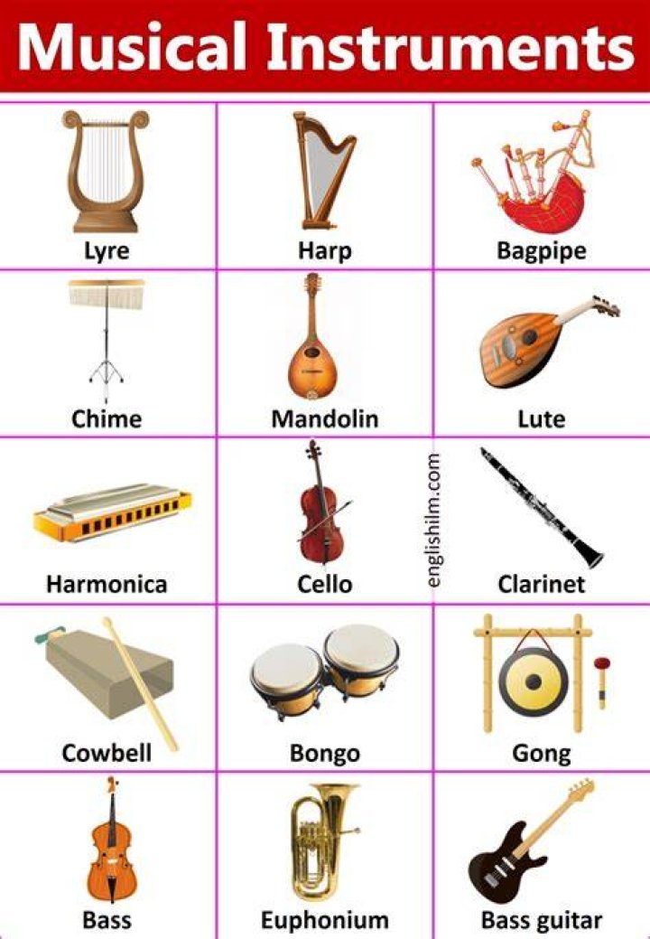 What is the 1st instrument?