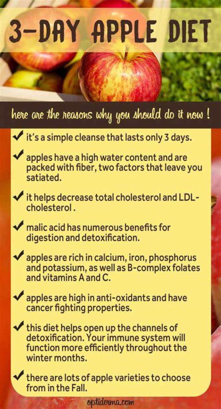 What is the 3 day apple diet?