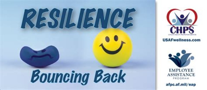 What is the ability to bounce back called?