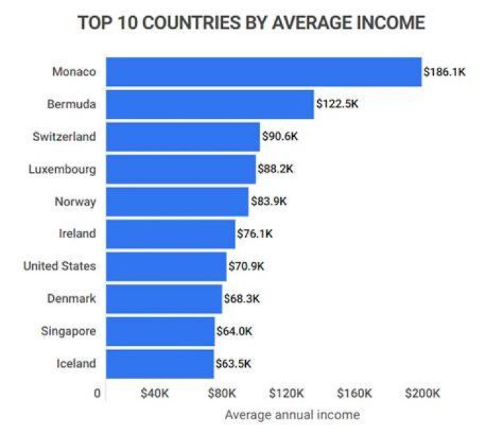 What is the average monthly income?