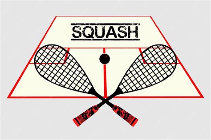 What is the ball on a squash racket?