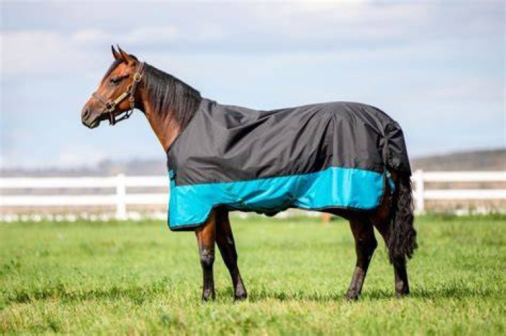 What is the best brand of horse blankets?