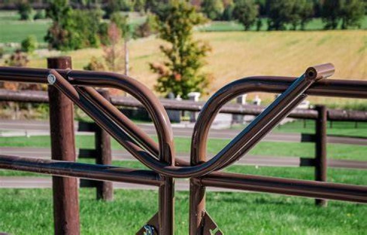 What is the best gate for horse racing?