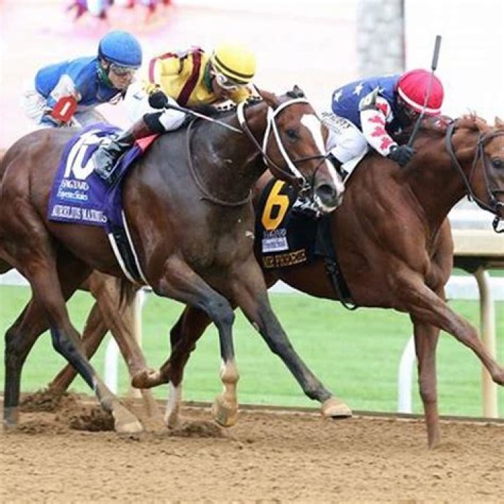 What is the best horse bet?