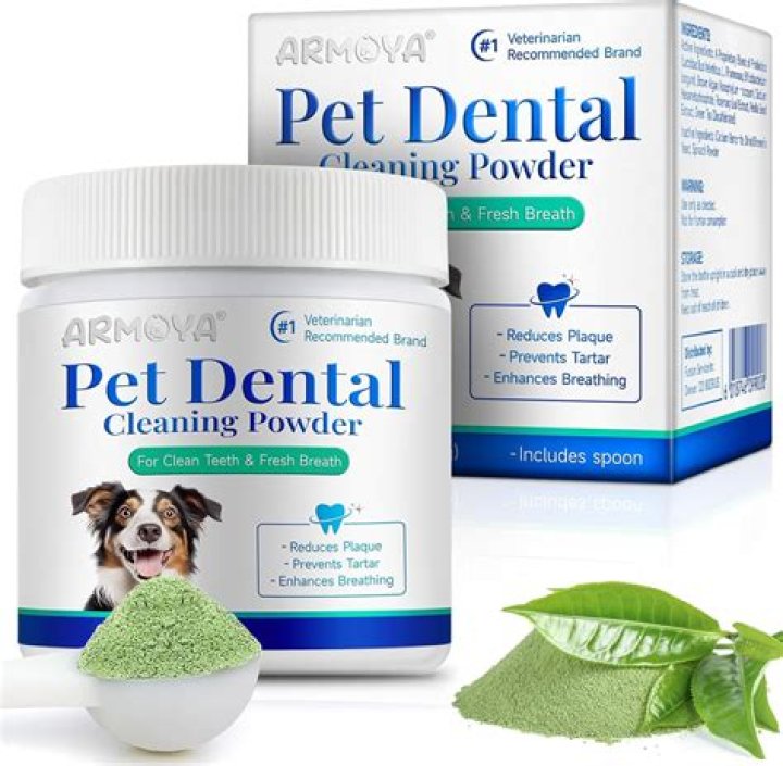 What is the best product for cleaning dogs teeth?
