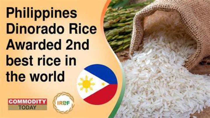 What is the best rice in the Philippines?