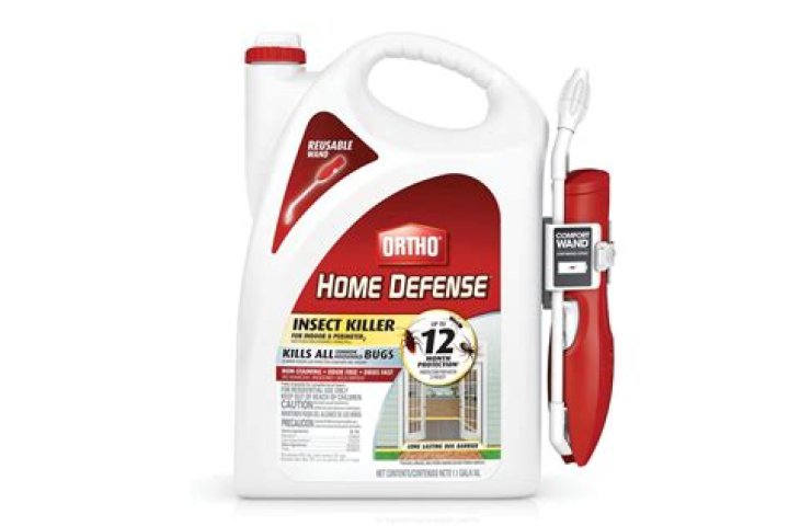 What is the best roach killer?