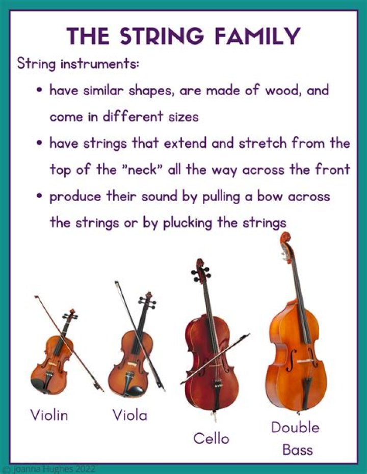 What is the biggest and has the lowest pitch in the string family?