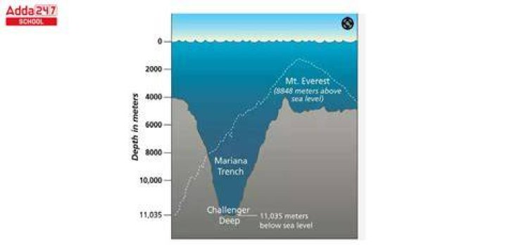 What is the deepest forest in the world?