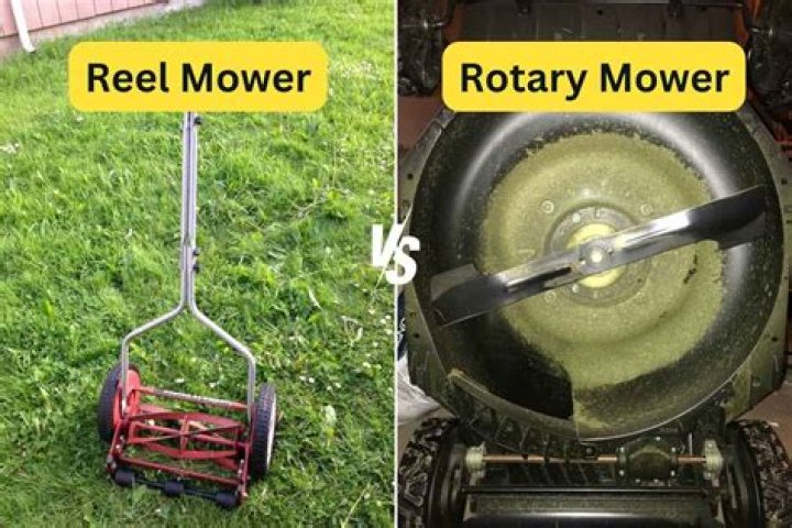 What is the difference between a reel mower and a rotary mower?