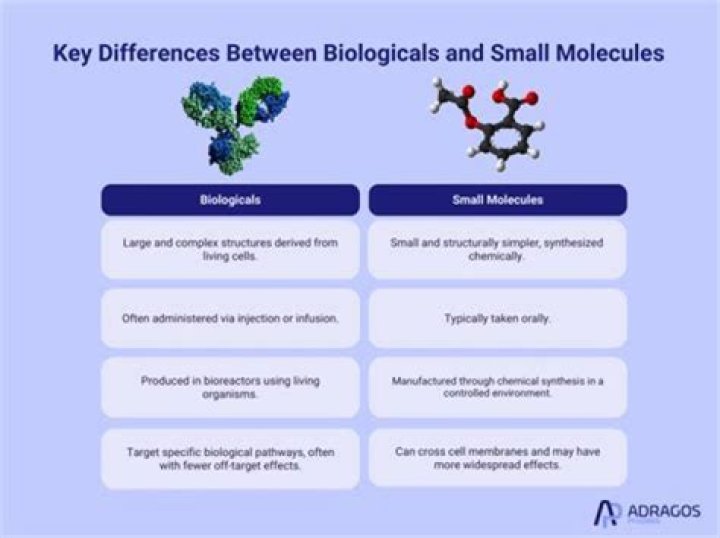 What is the difference between a small molecule and a biologic?