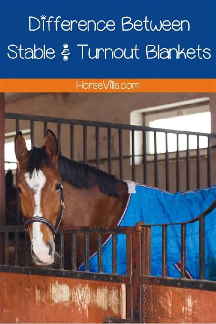 What is the difference between a stable blanket and a turnout blanket?