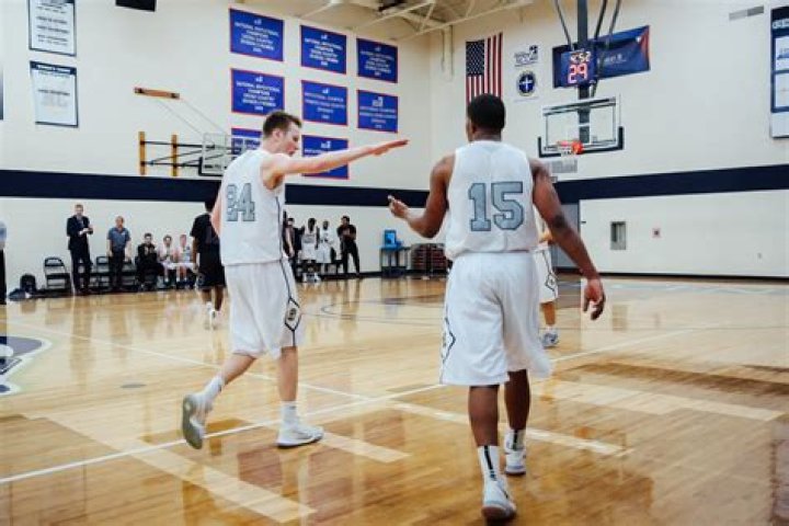 What is the difference between a steal and a turnover in basketball?