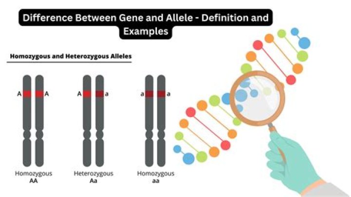 What is the difference between GTS and S?