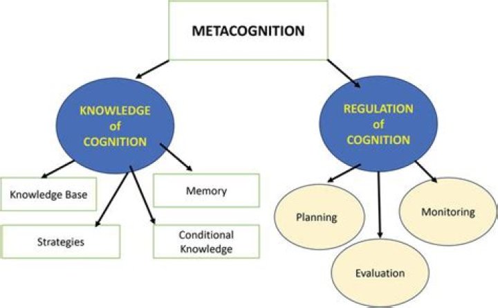 What is the difference between metacognition knowledge and metacognition regulation?