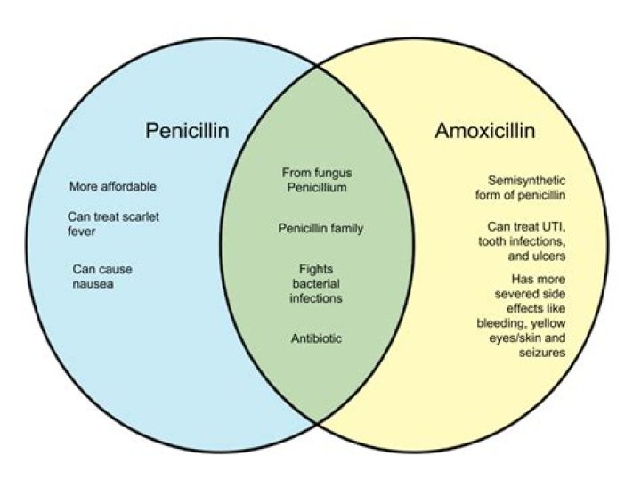 What is the difference between penicillin and amoxicillin?