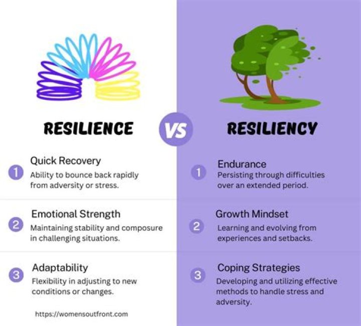 What is the difference between resilience and resilient?