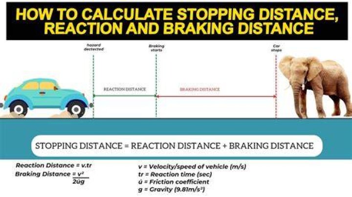 What is the distance of the fastest race?