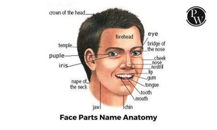 What is the face of a dice called?