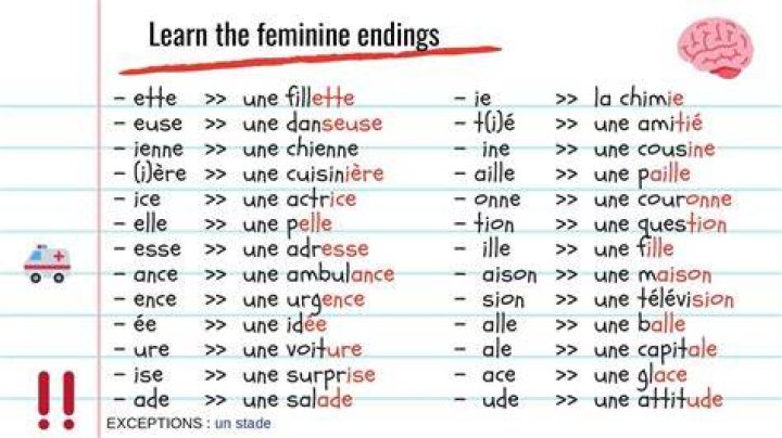 What is the feminine of China in French?