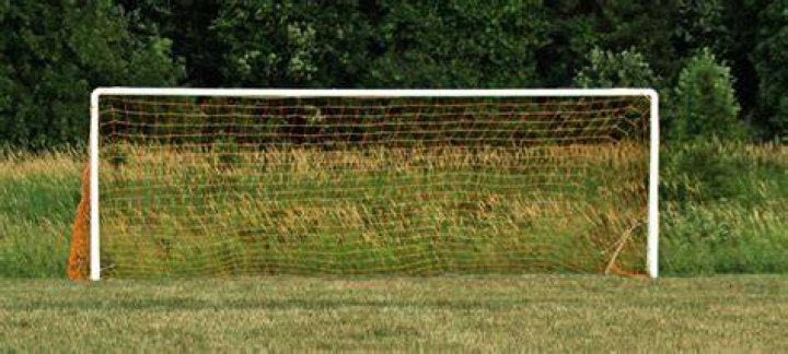 What is the goal of cricket?