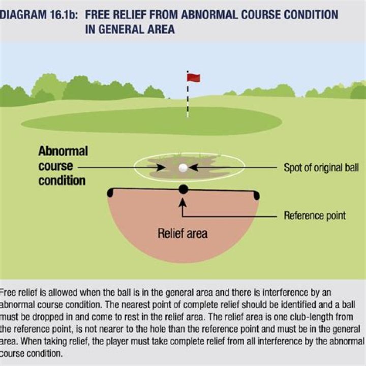 What is the Gur rule in golf?