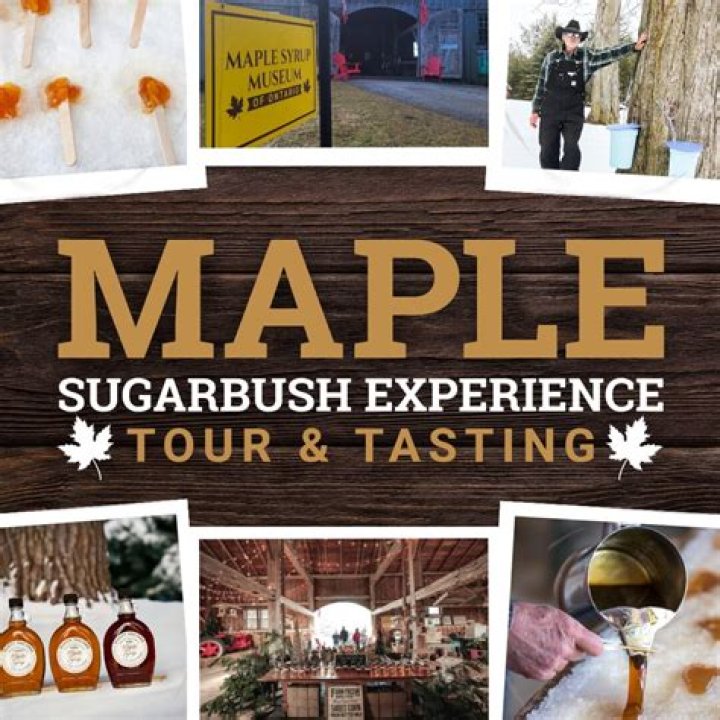 What is the hardest trail at Sugarbush?