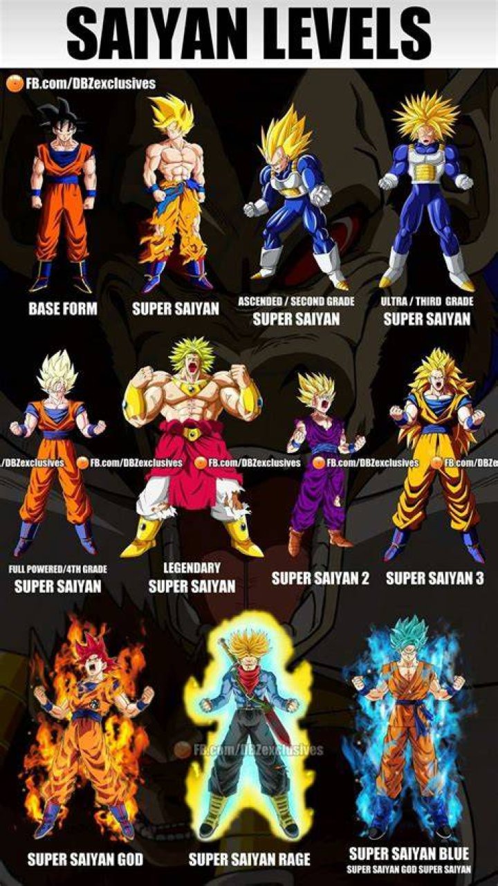 What is the highest Saiyan level?