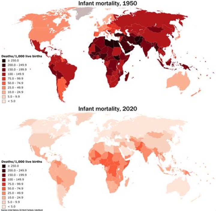 What is the infant mortality of Germany?