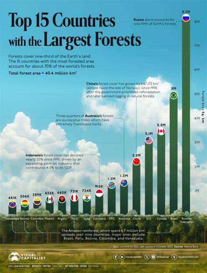 What is the largest forest?