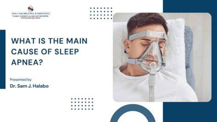 What is the main cause of sleep apnea?