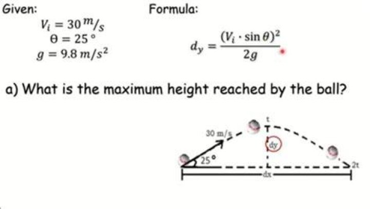 What is the maximum height reached by the ball?