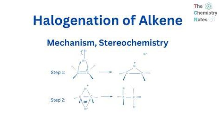 What is the meaning of alkene in science?