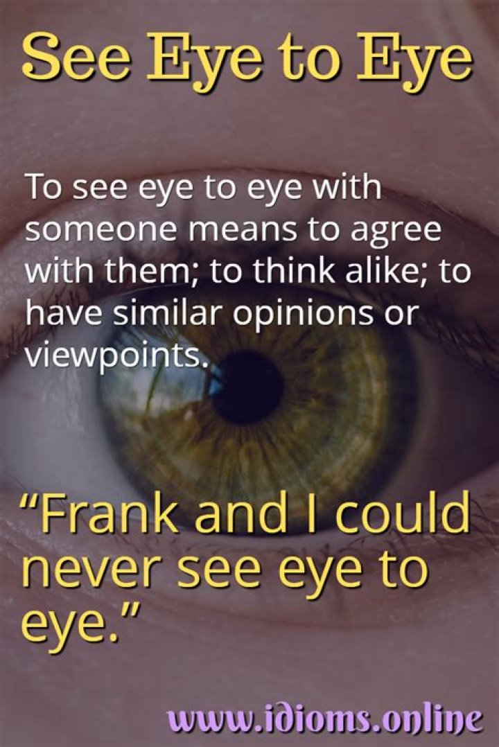What is the meaning of see eye to eye in idiomatic expression?
