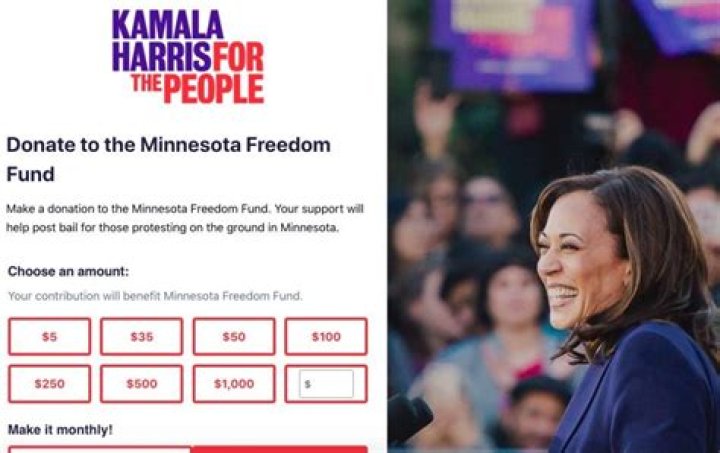 What is the Minnesota Freedom Fund being used for?