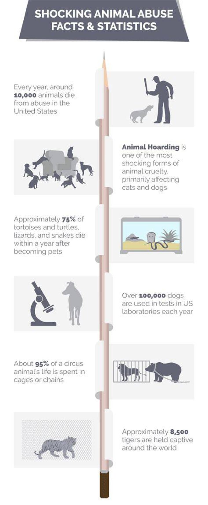 What is the most abused animal on the planet?
