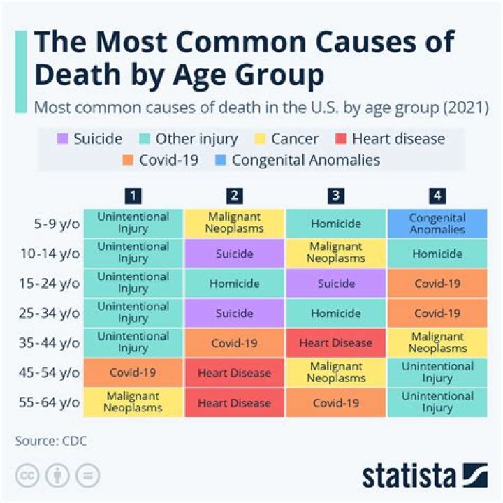 What is the most common cause of death in cats?