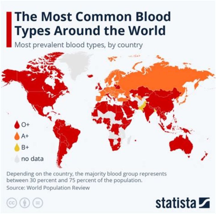 What is the most popular blood type in the US?