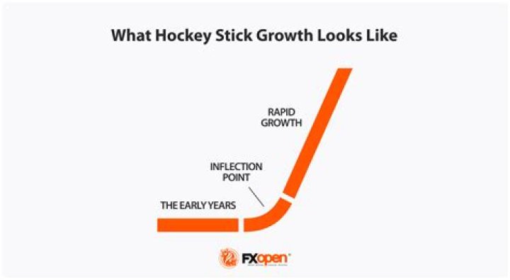 What is the most used stick in the NHL 2022?
