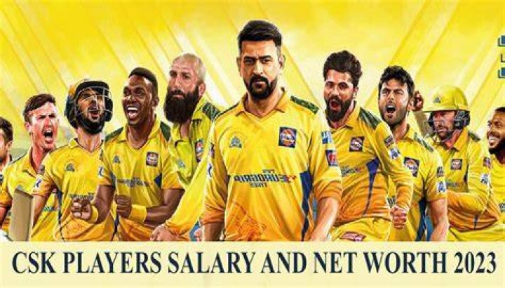 What is the net worth of CSK?