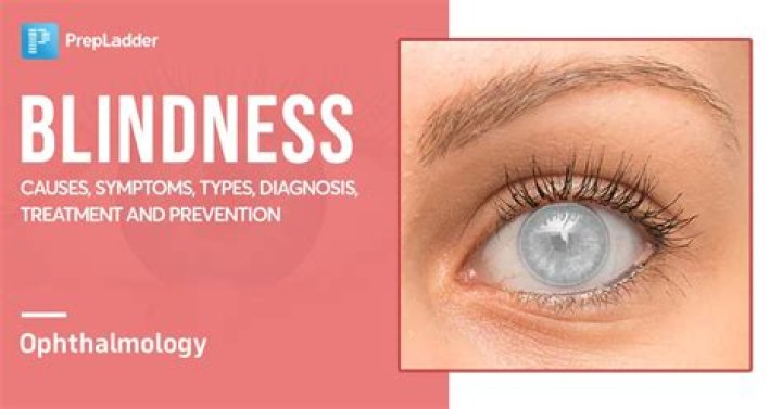 What is the number 1 cause of blindness?