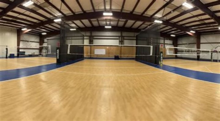 What is the official indoor volleyball?