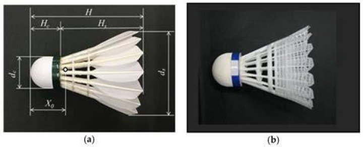 What is the other term for shuttlecock?
