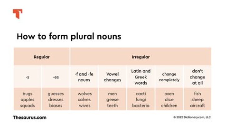 What is the plural of beef?