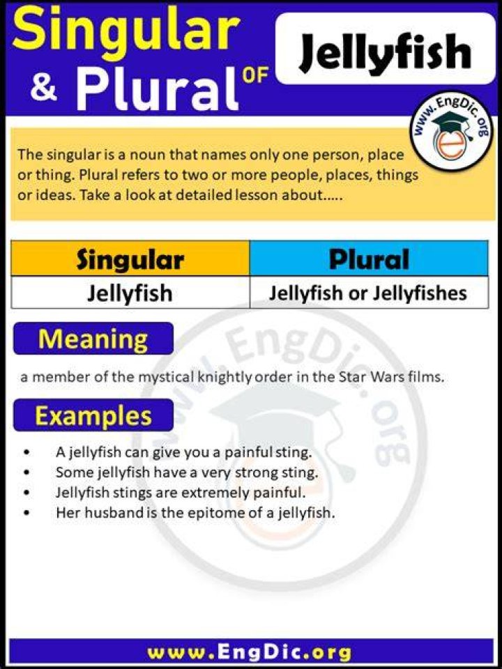 What is the plural of jellyfish?