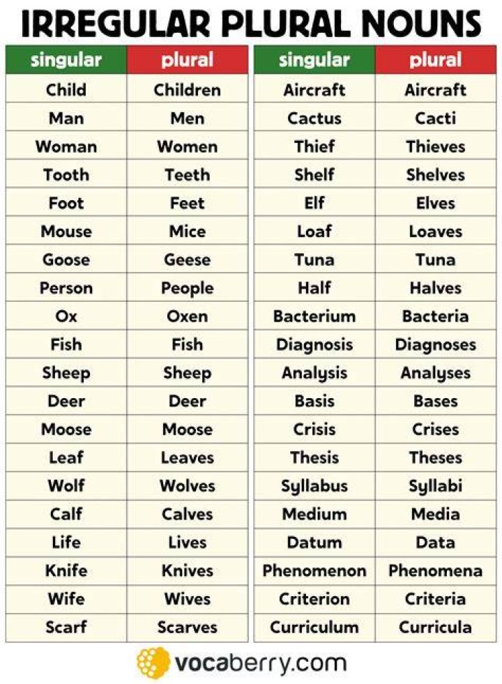 What is the plural of L animal in French?