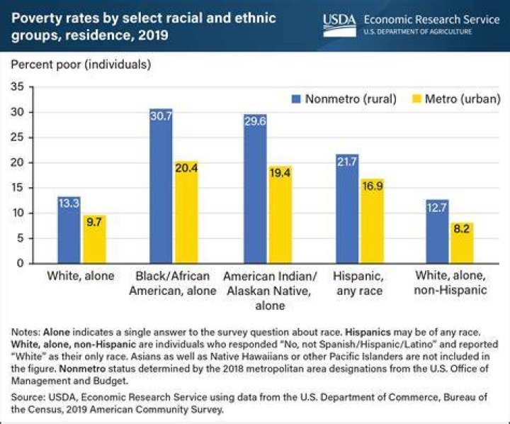 What is the poverty rate in the US 2021?