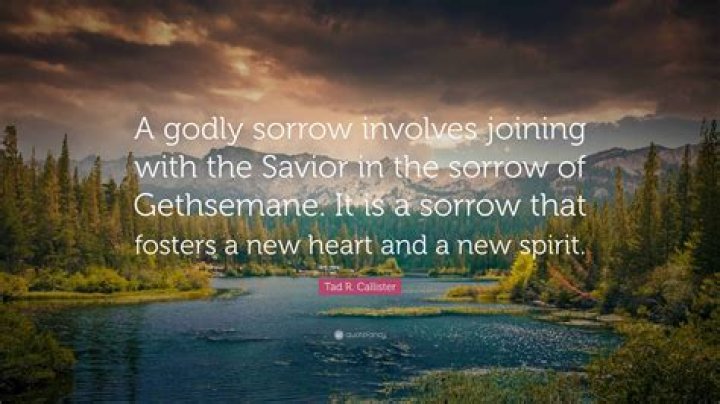 What is the result of godly sorrow?