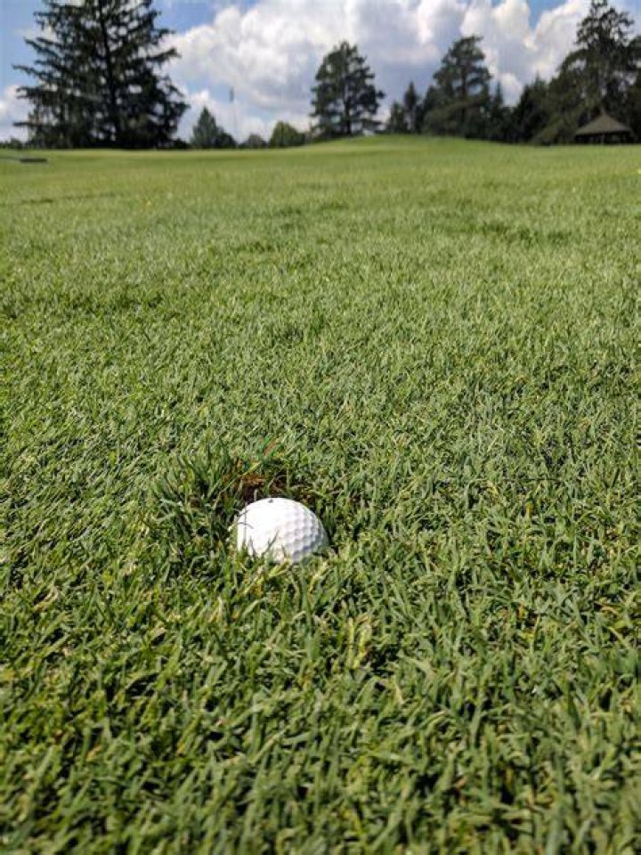 What is the rule on a plugged golf ball?