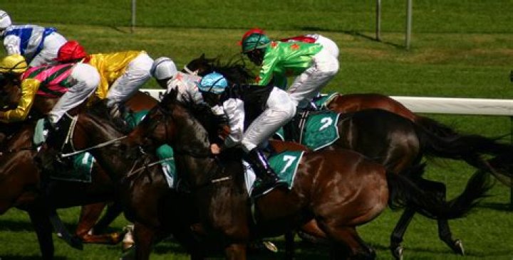 What is the safest bet in horse racing?
